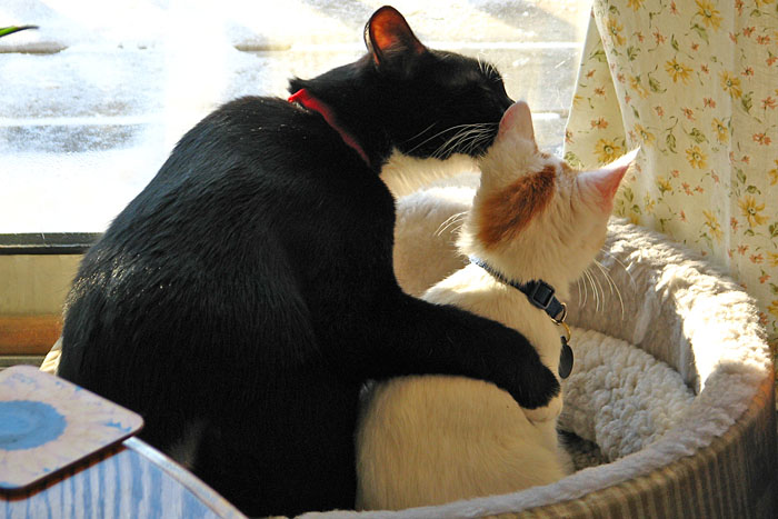 Listen,_do_you_want_to_know_a_secret
